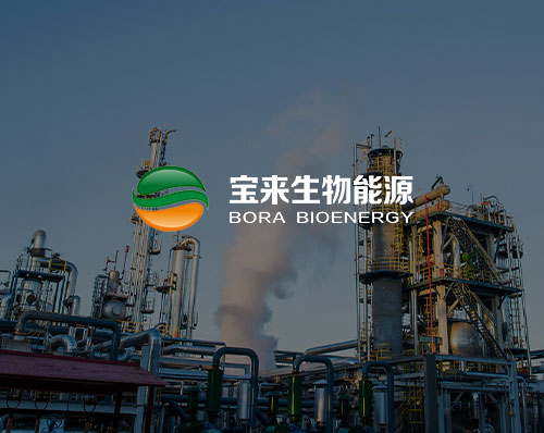 優創網絡為(wèi)【寶來(lái)生(shēng)物(wù)科(kē)技(jì)】提供網站建設服務