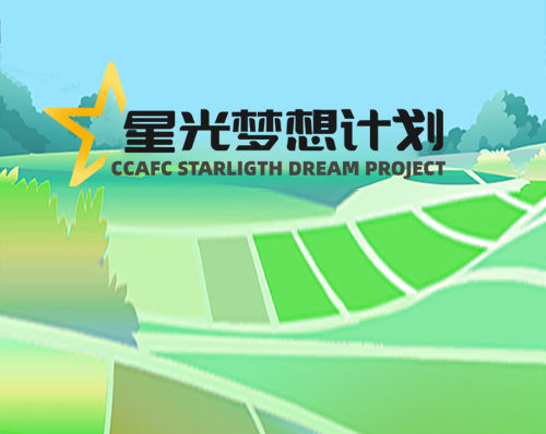 優創網絡為(wèi)【星光(guāng)夢想計(jì)劃】提供網站建設服務