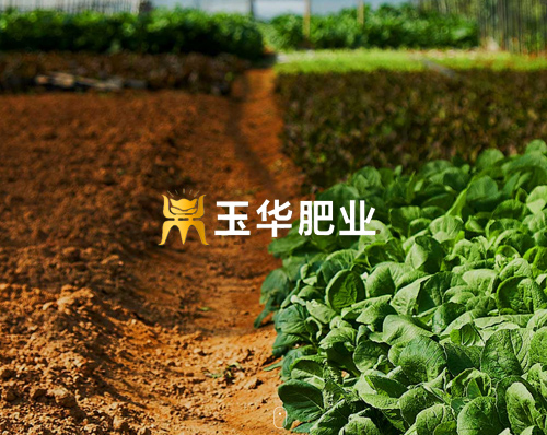 優創網絡為(wèi)【遼甯玉華肥業(yè)有(yǒu)限公司】提供自(zì)适應PC+手機(jī)網站建設服務