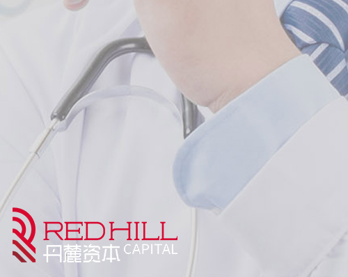 優創網絡為(wèi)【丹麓資本】提供網站建設服務